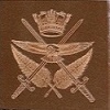 NZ insignia