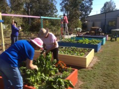 Seniors Community Supported Living